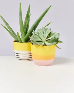 Motel a Miio Flores Ubertopf Gelb Schwarz Gestreift Hot